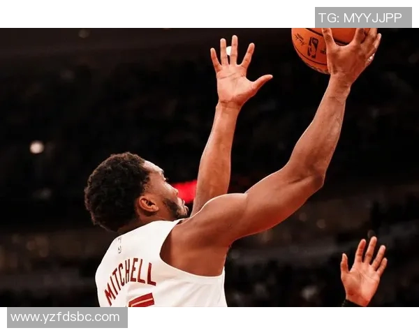 骑士与灰熊2021赛季对决回顾及精彩瞬间分析